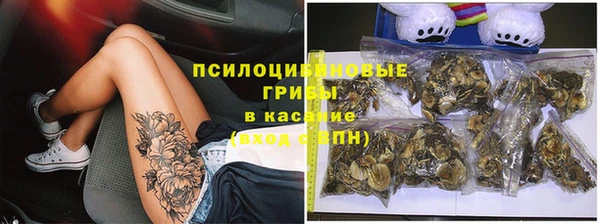 не бодяженный Алзамай