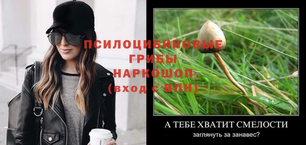 стафф Алексеевка