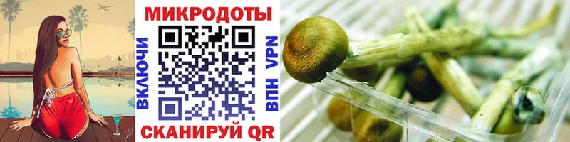 Псилоцибиновые грибы Cubensis  цена наркотик  нарко площадка состав  Неман 